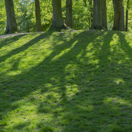 Frederiksberg Gardens Spring in Copenhagen