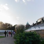 Botanical Gardens in Copenhagen - Palm House sunset