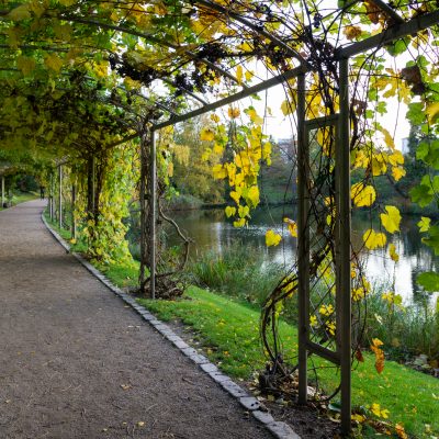 Botanical Gardens Copenhagen - Pergola Autumn