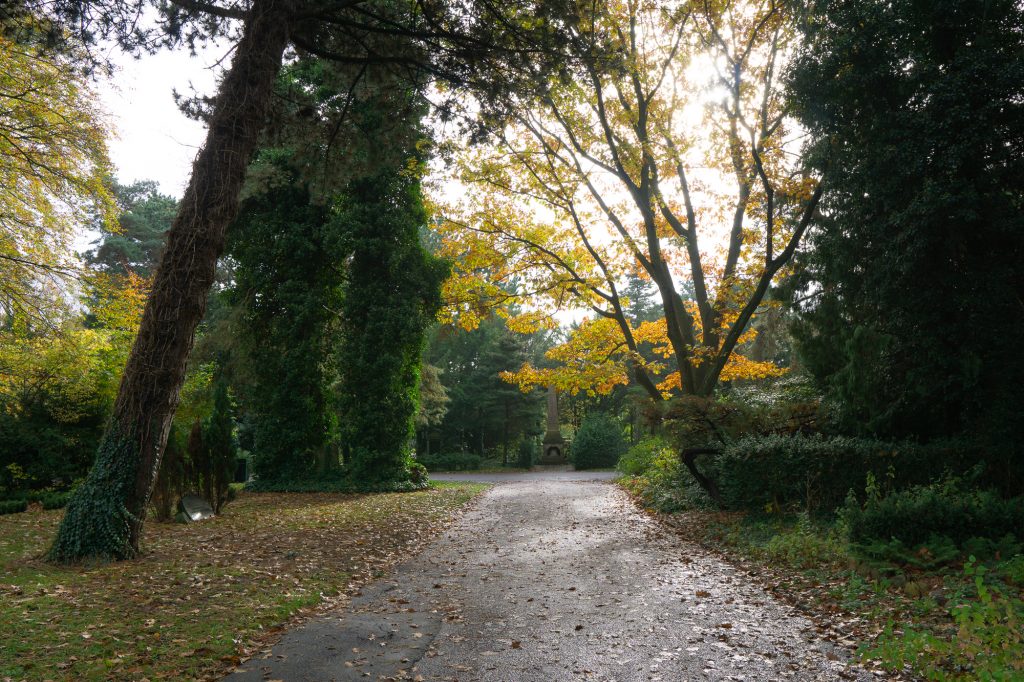 Vestre Cemetery in the Fall - golden leaves