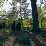 Assistens-Kirkegaard-Copenhagen-Grave-Sun