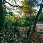 Assistens-Cemetery-Fall-Grave-under-tree