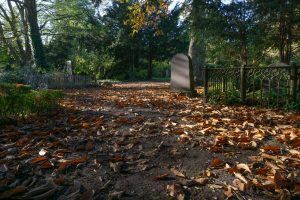 Fall-Leaves-Assistens-Cemetery-Kopenhagen