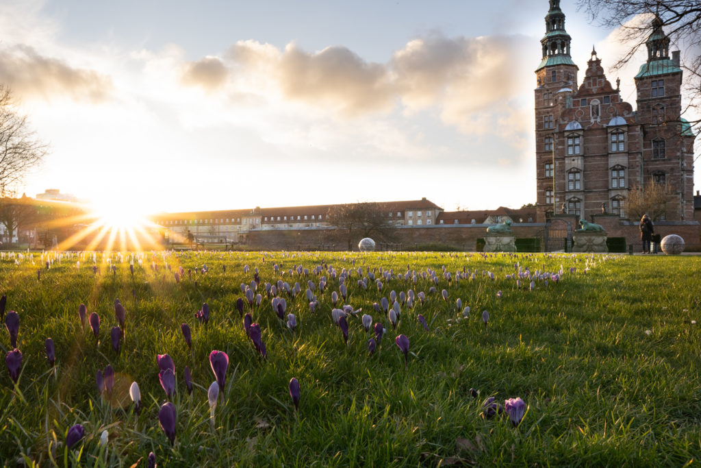 King's Garden with Rosenborg Castle at the crocus lawn